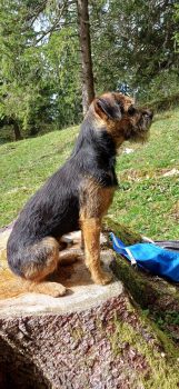 WhatsApp Image 2025-11-10 at 13.57.32